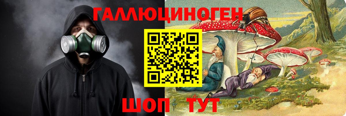 Галлюциногенные грибы Cubensis Новочебоксарск