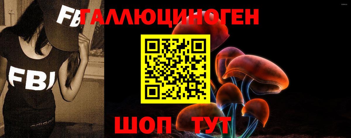 Псилоцибиновые грибы GOLDEN TEACHER  Вход с VPN  Псилоцибиновые грибы мицелий  Новочебоксарск 