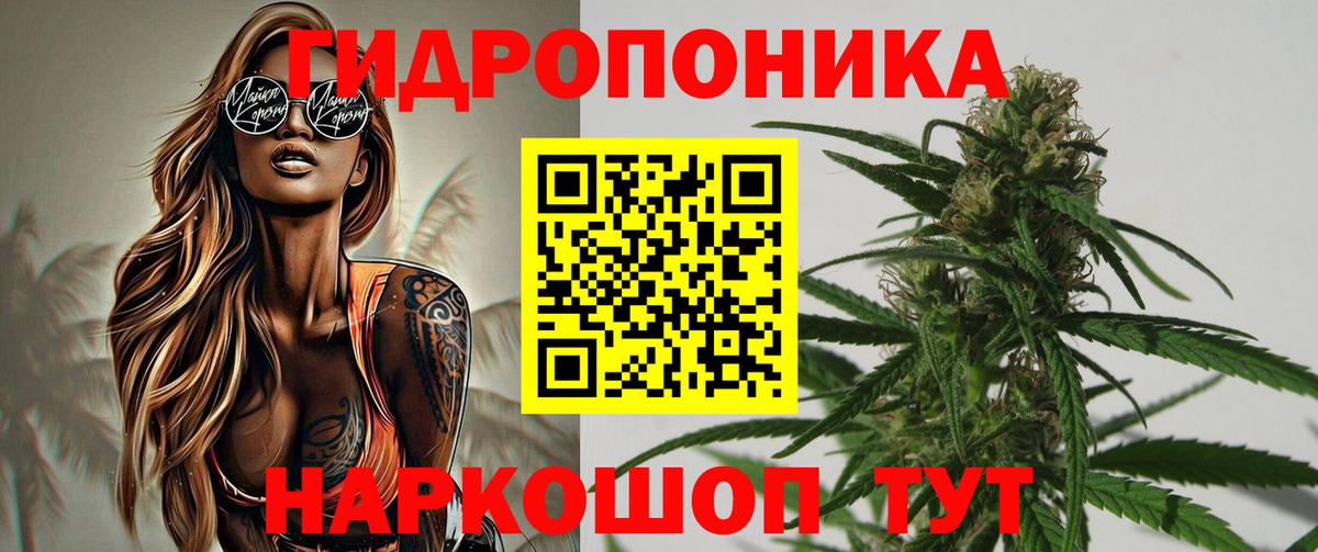 Бошки марихуана Amnesia  МАРИХУАНА конопля  Вход с VPN  Новочебоксарск 